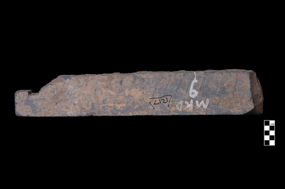 Image of Male devotees and donors