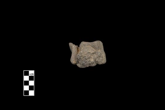 Image of Male drummer