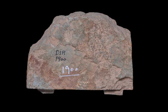 Image of Last Existence: Buddha’s Death