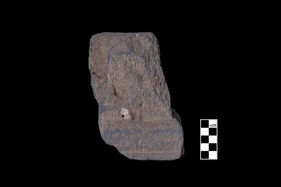 Image of Buddha and devotees