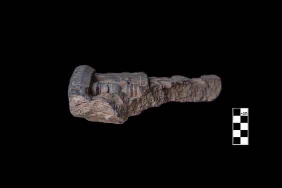 Image of Adoration of the stūpa