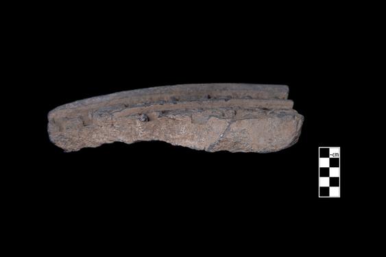 Image of Adoration of the stūpa