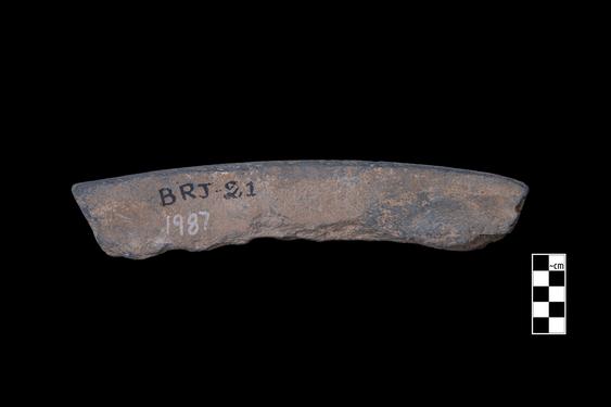 Image of Adoration of the stūpa