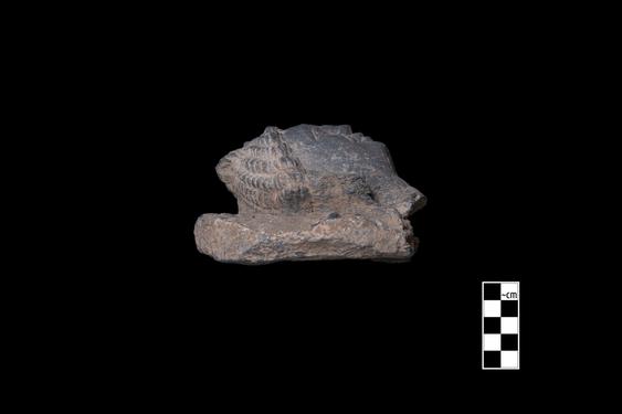 Image of Bodhisattva