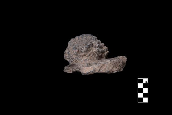 Image of Bodhisattva