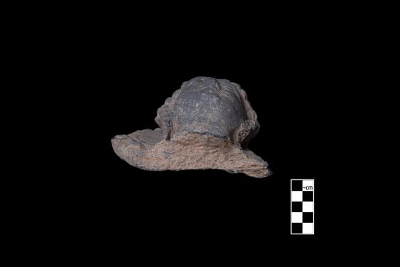 Image of Bodhisattva