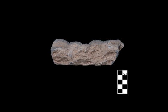 Image of Last Existence: Story of Upāli