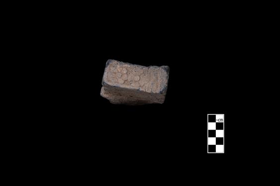 Image of Male donors