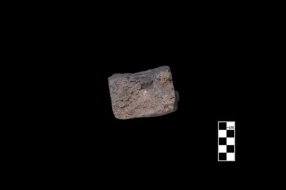 Image of Male donors