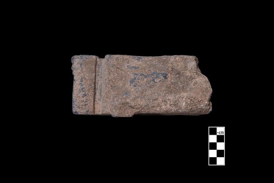 Image of Male donors