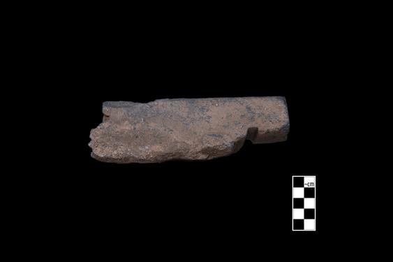 Image of Male donors