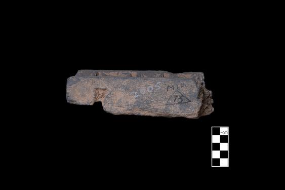 Image of Male donors