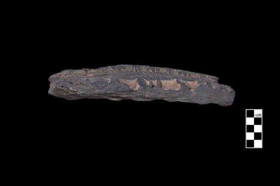 Image of Male figures