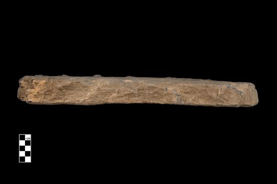 Image of Weight bearers (?)