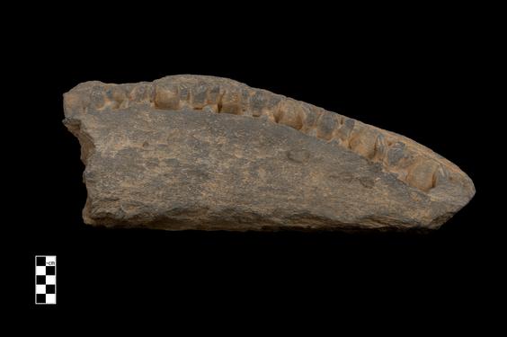 Image of Weight bearers (?)