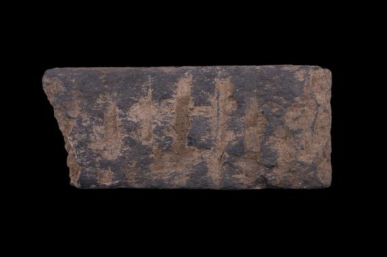 Image of Last Existence: Visit of the Ascetics