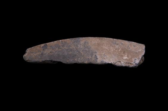 Image of Last Existence: Visit of the Ascetics