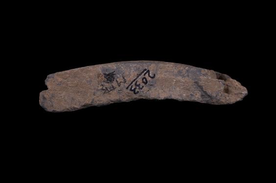 Image of Last Existence: Visit of the Ascetics