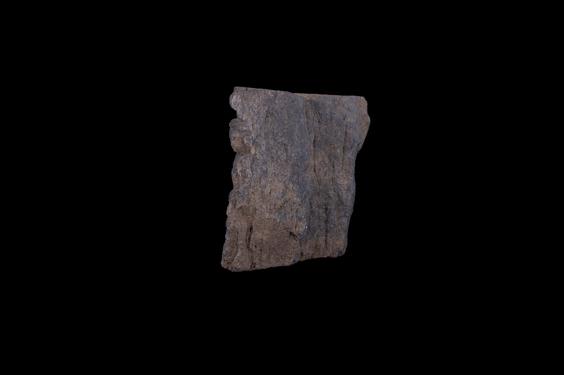 Image of Buddha and devotee