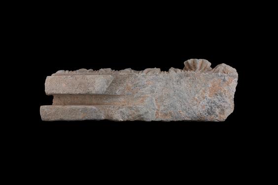 Image of Acanthus leaves