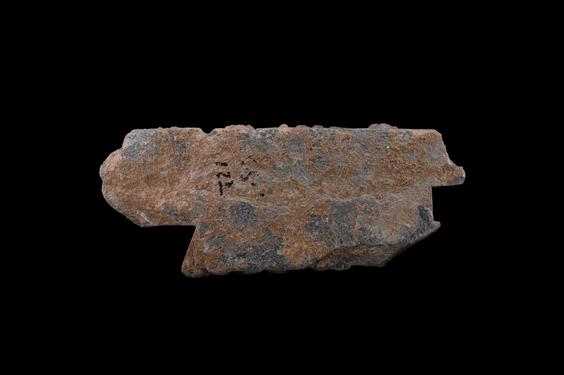 Image of Acanthus leaves