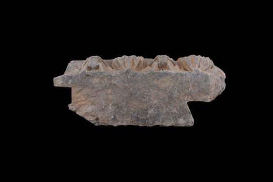 Image of Acanthus leaves