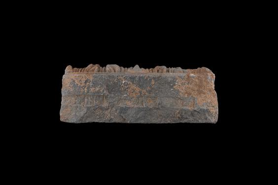 Image of Acanthus leaves