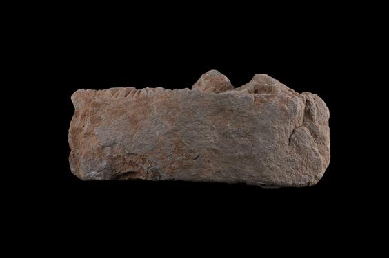 Image of Acanthus leaves