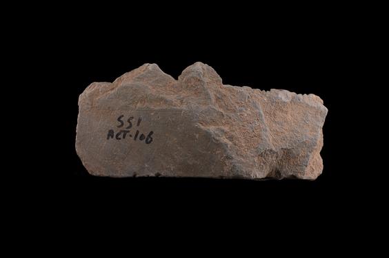 Image of Acanthus leaves