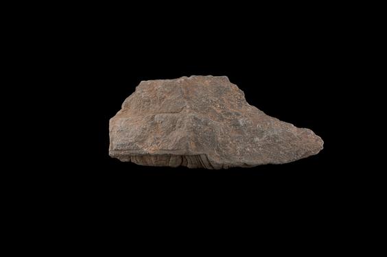 Image of Acanthus leaves