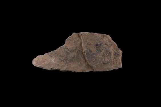 Image of Acanthus leaves